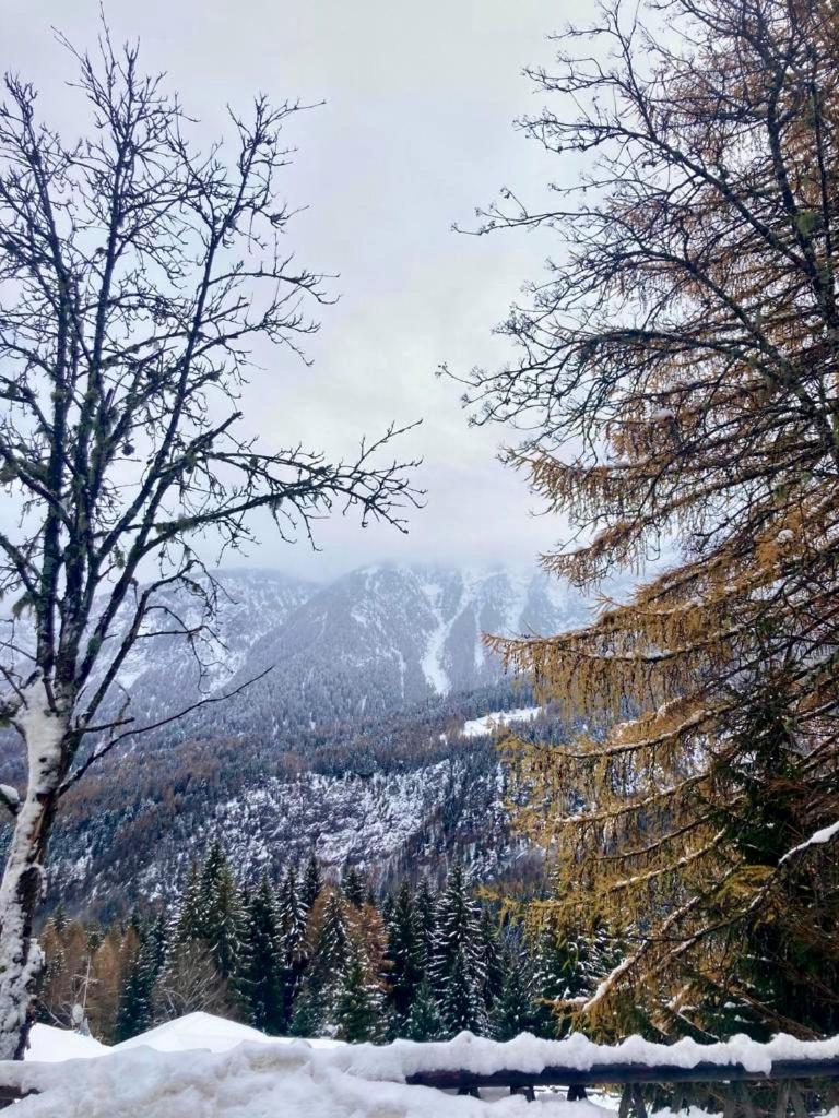 Appartamento Sulle Piste 佛加里达 外观 照片